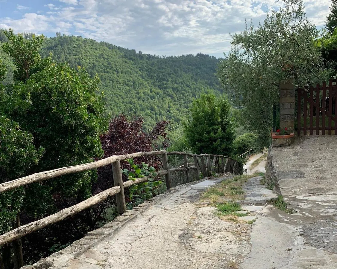 Casa Tasso Apartment Reggello